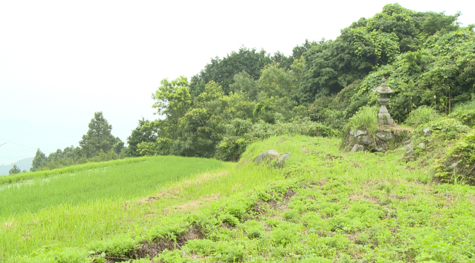 1404459332_1.jpg