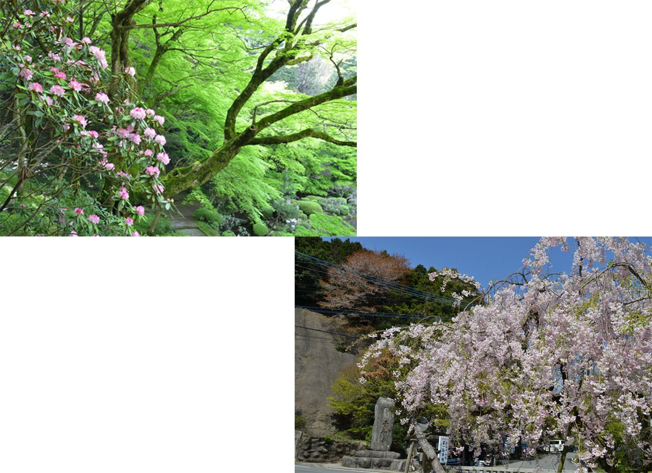 1405502800_2.jpg
