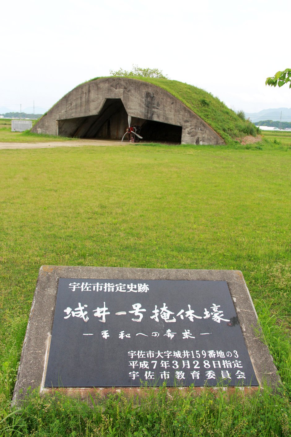 1408040800_4.jpg