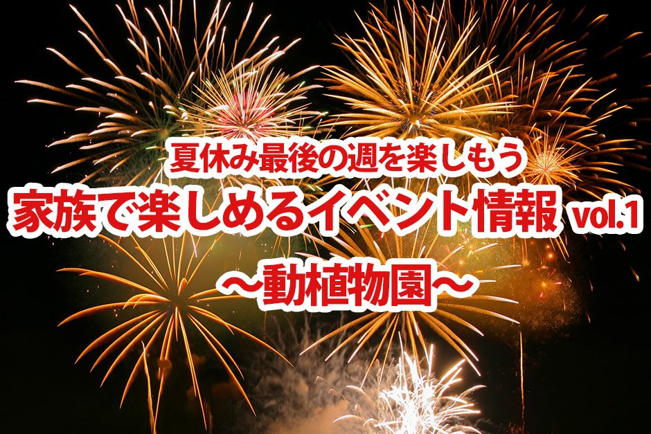 1409041197_1.jpg