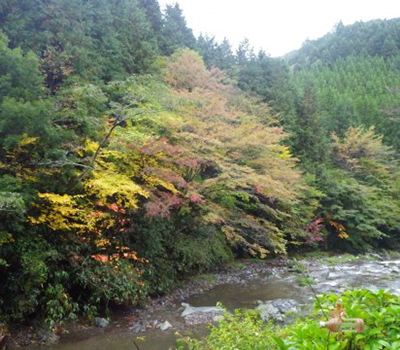 1413436131_4.jpg 1413436131_4.jpg