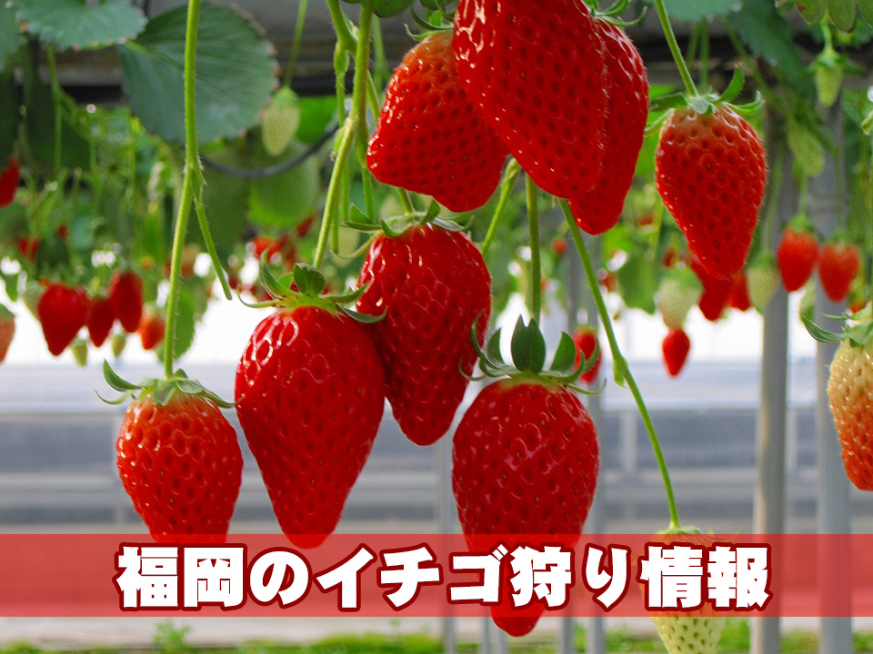 1420537685_1.jpg