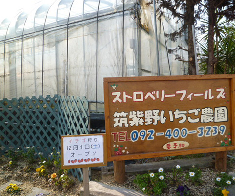 1420537685_4.jpg