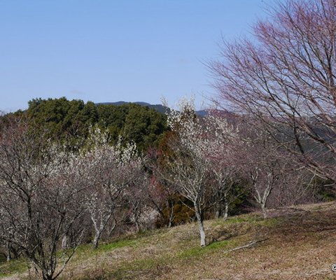 1424139847_7.jpg 1424139847_7.jpg