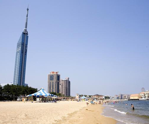1435121101_3.jpg