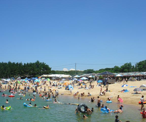 1435121101_6.jpg