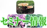 天然物機能開発シンポジウムがあす開かれますよ！
