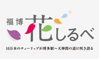 天神と博多を春の花々でつなぐ！「福博花しるべ」 