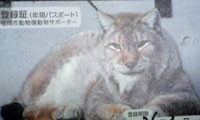 【動画】 福岡市動物園の無料パスポートが手に入る！おトクな年間サポーター制度 