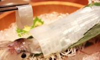 【動画】大人の雰囲気で楽しむ新鮮な魚料理と銘柄焼酎＆日本酒！「魚 あ・うん 舞鶴店」 