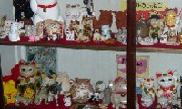 おびただしい数の招き猫がいる寺がパワースポットになっている！ 