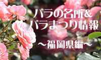 九州・バラの名所＆バラまつり情報！①福岡県内編