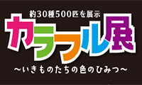 約30種500匹を展示！「カラフル展～いきものたちの色のひみつ～」が開催されています！