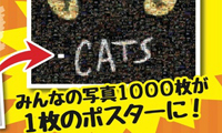 『キャッツ』と観劇の思い出がコラボレーションする福岡公演限定イベント“みんなでつくろう！キャッツモザイクアート