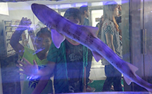 【動画】JR博多シティ屋上つばめの杜ひろばに天空の水族館OPEN