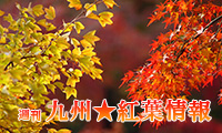 週刊でお知らせ！九州の紅葉情報 ～福岡編～