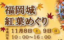 11月はイベント盛りだくさん！今週末のイベント特集【福岡県内編】