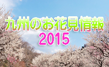 九州のお花見・桜情報!【長崎県編】