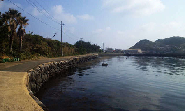 この夏は唐津市・神集島でピクニックを♪