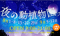 動物たちの夜の顔が見れる「夜の動植物園」に行こう！