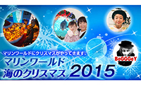 マリンワールドにもクリスマスがやってきた！12月23日(水・祝)から25日(金)の3日間は夜9時まで夜間営業も！！