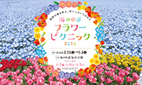 「海の中道フラワーピクニック2016」今週末3月26日から5月まで！