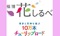 福博花しるべ、メイン会場の警固公園を中心に今年も開催！