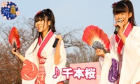 【動画】ふくおか官兵衛Girls／♪千本桜＠「福岡城さくらまつり」ライトアップ点灯式！