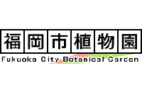 遊びはじめはこれで決まり！2017年新春イベントvol.02（1月6日＠七草粥試食会）