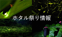 5月下旬から6月上旬がシーズン！福岡県内ほたる祭り情報