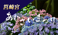 筥崎宮あじさいまつり「参道花めぐり」6月１日（木）～6月30日（金）まで開催！！