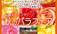 秋に美しく咲き誇るバラ園「秋のバラフェア」10月14日（土） ～11月12日（日）石橋文化センターで開催