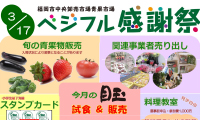 採れたて新鮮な野菜がいっぱい！3/17（土）ベジフル感謝祭　福岡市中央卸売市場青果市場にて開催