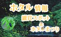 ホタルシーズン到来！観賞スポット＆ほたる祭り情報！