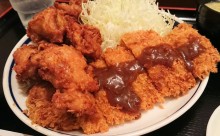 ちょうどE級グルメ！かかってこい揚げ物！まんぷく食堂 ぎおん亭